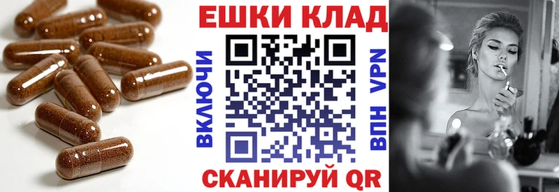 ЭКСТАЗИ Philipp Plein  Дудинка 