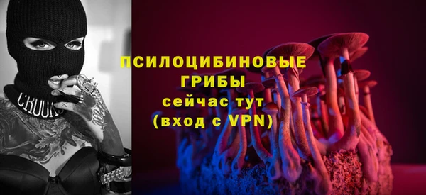 дживик Алексеевка